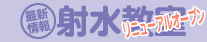 �ː��`���V